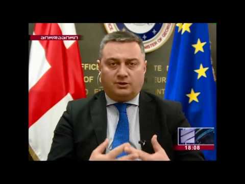 ვიქტორ დოლიძე უვიზო მიმოსვლის ამოქმედებაზე